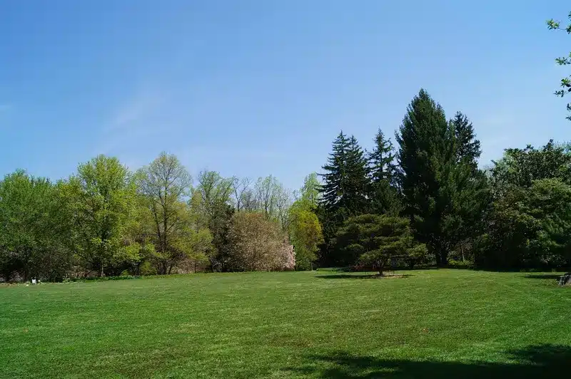 Grand espace vert en extérieur au soleil