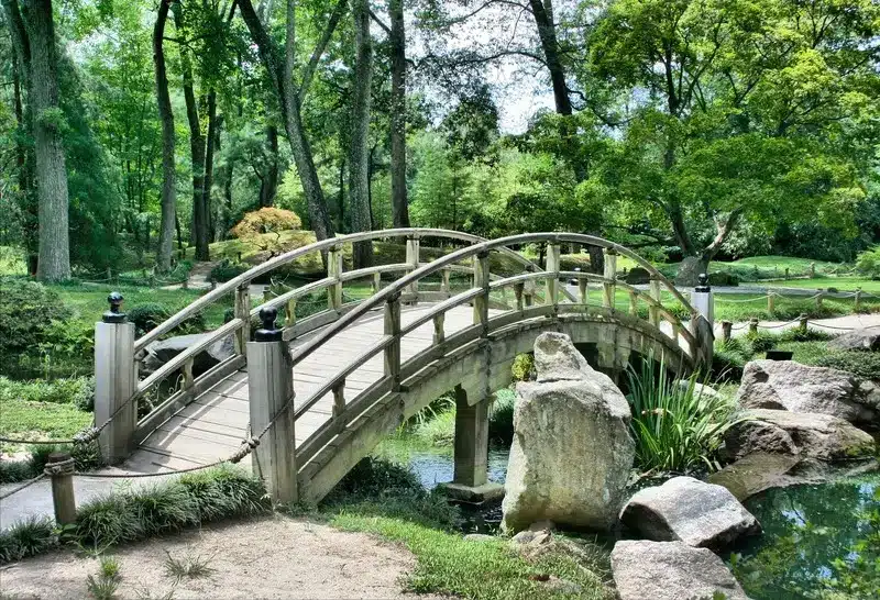 Grand jardin avec un pont dans une maison