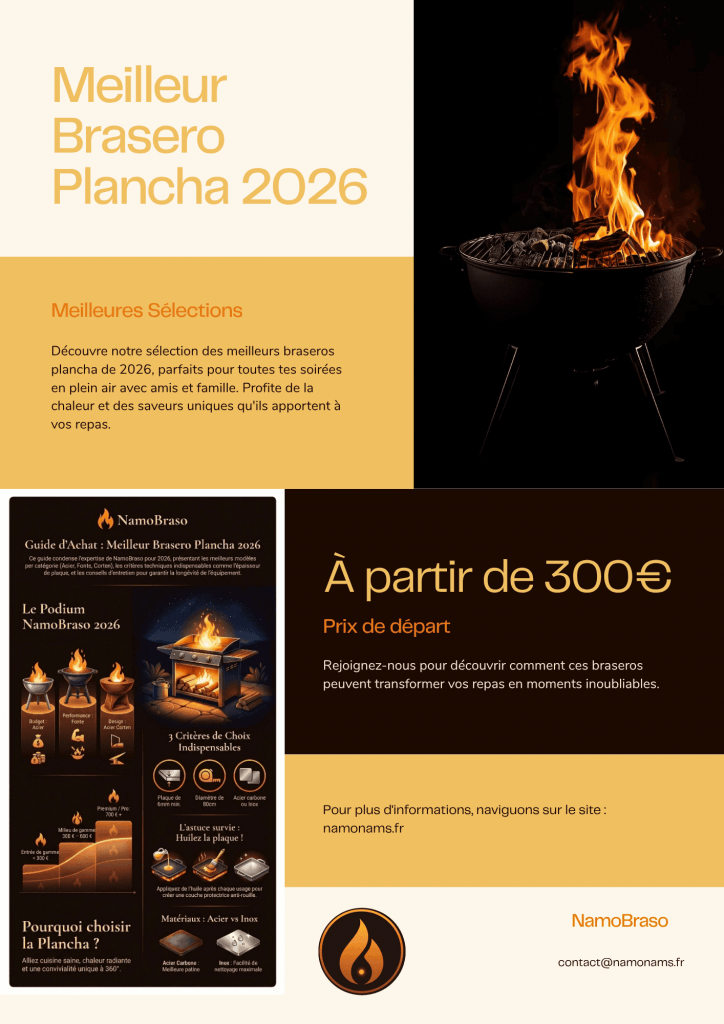 infographie meilleur brasero plancha 2026 critères choix budget